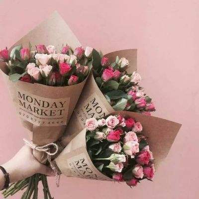 半岛官方下载地址