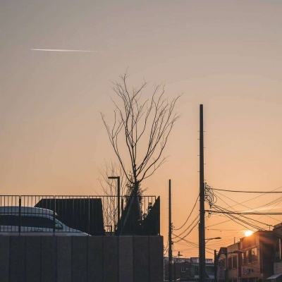 722cc大发彩神手机app下载