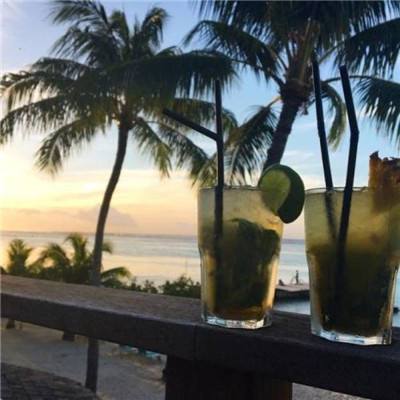 乐鱼app官网正式版下载手机app下载