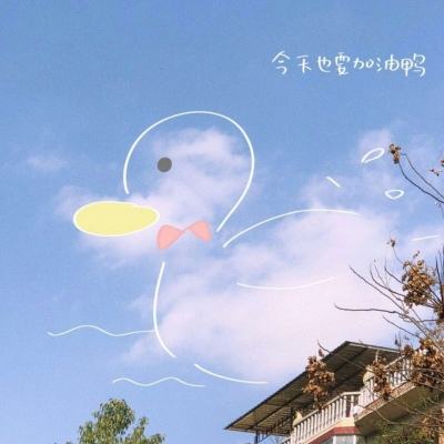 斗牛棋牌app下载